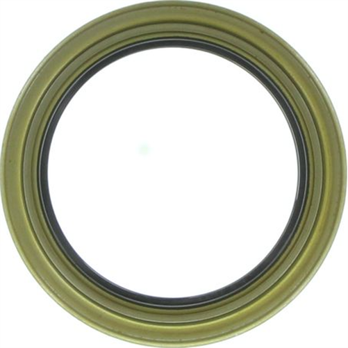 Oil Seal