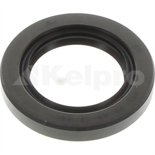 Oil Seal