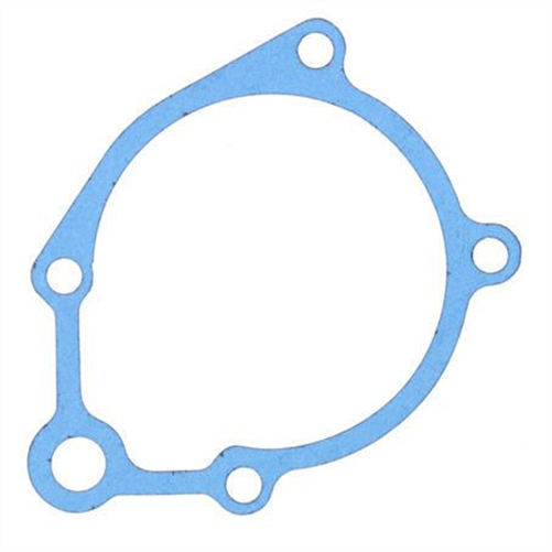 Water Pump Gasket