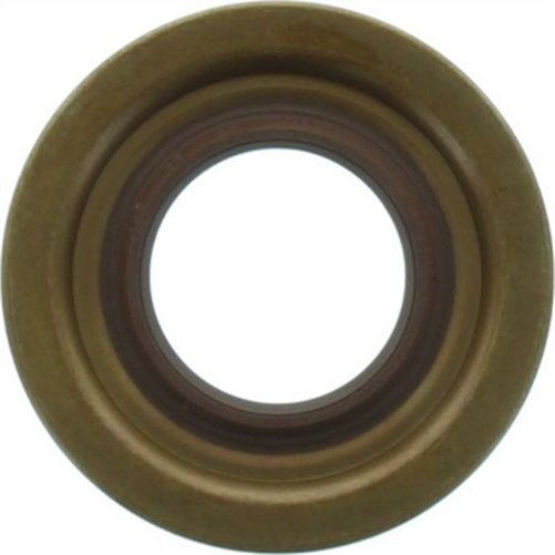 Oil Seal