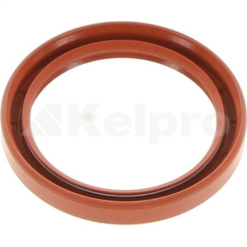 Oil Seal