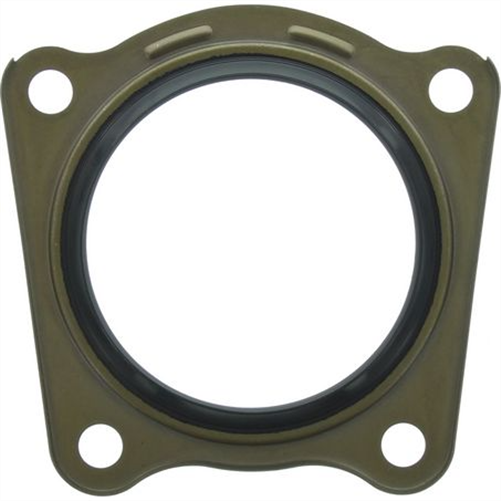 Oil Seal