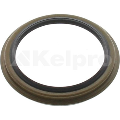 Oil Seal