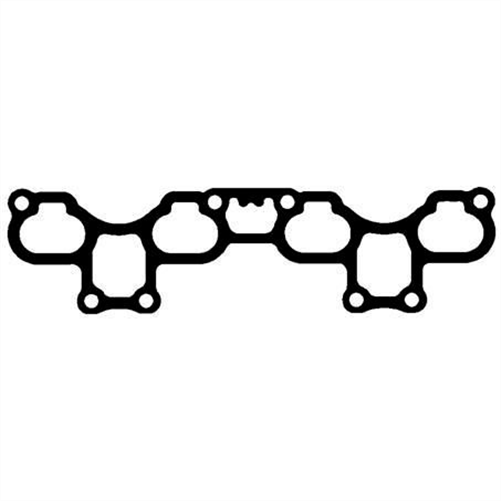 Manifold Gasket