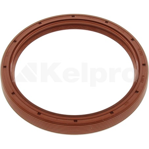 Oil Seal