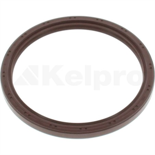 Oil Seal