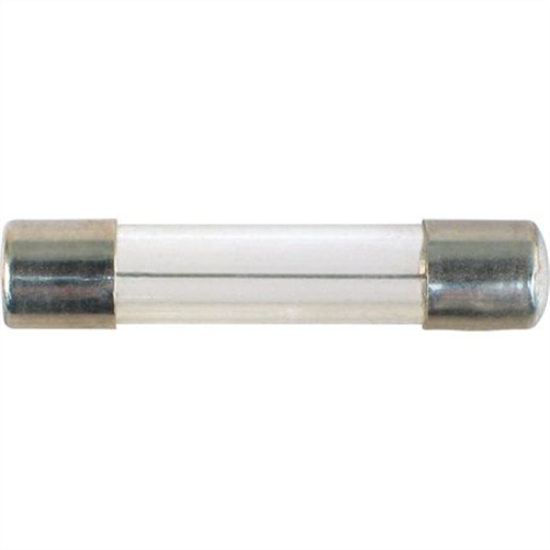 Glass Fuse 3AG 10A 10Pk