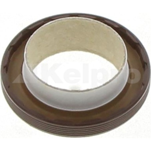 Oil Seal