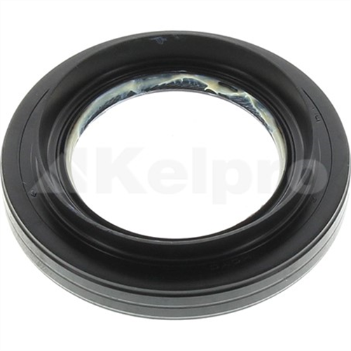 Oil Seal