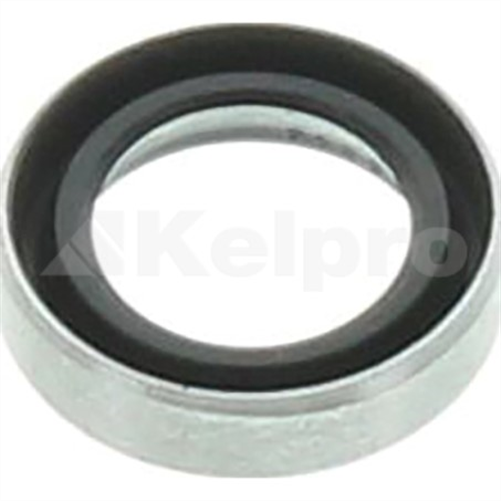 Oil Seal