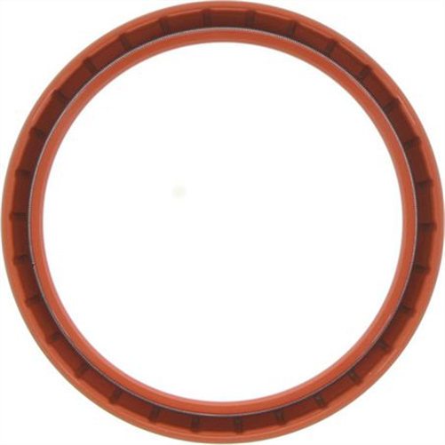 Oil Seal