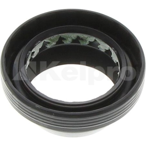 Oil Seal