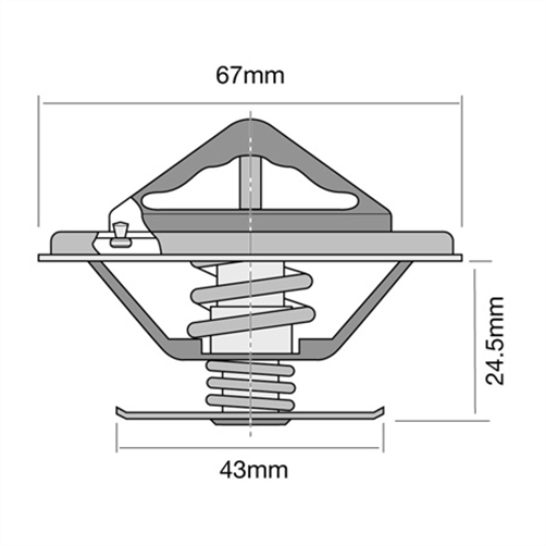 THERMOSTAT HIFLOW 91" TT248195