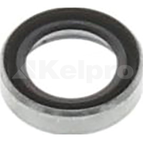 Oil Seal