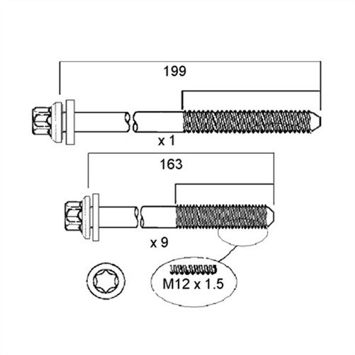 Cylinder Head Bolt Set HBS219