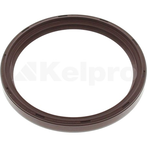 Oil Seal