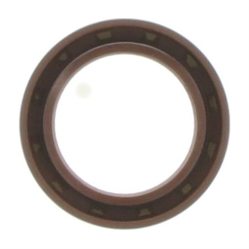 Oil Seal