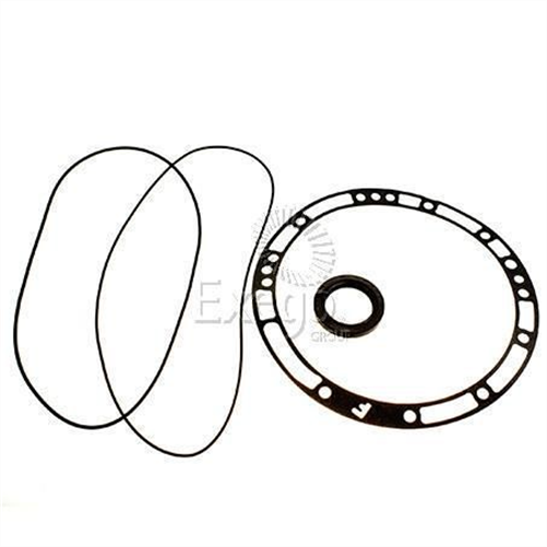 Pump Leak Kit A440/442 A/M F/Seal