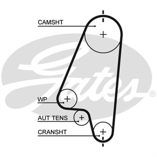 GATES CURVLINEAR TIMING BELT T203