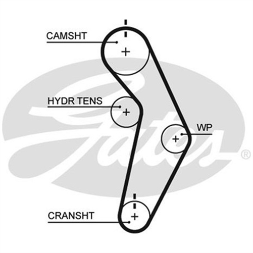 GATES CURVLINEAR TIMING BELT T245