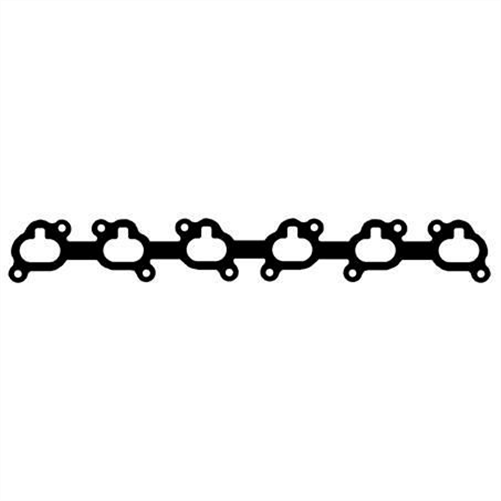 Manifold Gasket