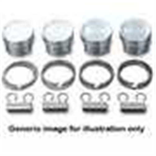 PISTON SET 4RY2530-040