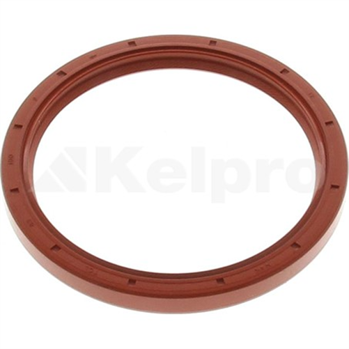 Oil Seal