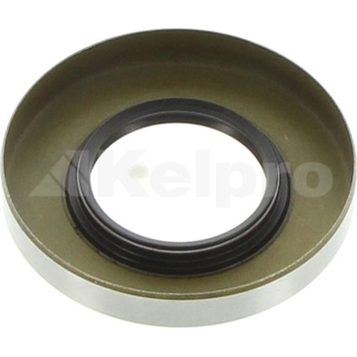 Oil Seal