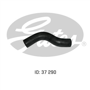 GATES RADIATOR HOSE UPPER 05-1926