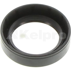 Oil Seal