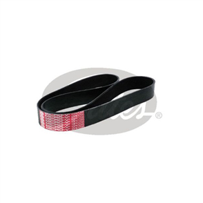 GATES FAN BELT RIBBED 10PK1295