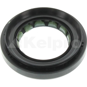 Oil Seal