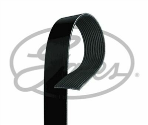 MICRO V BELT 12PK1835HD IVECO STRALIS