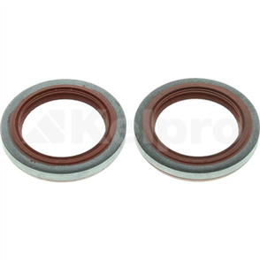 Oil Seal