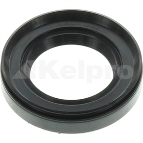 Oil Seal