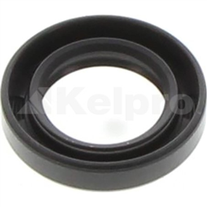 Oil Seal