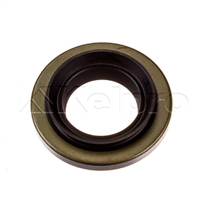 Oil Seal