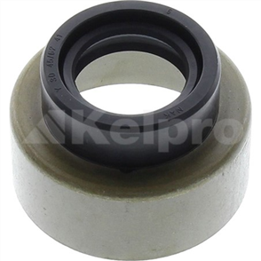 Oil Seal