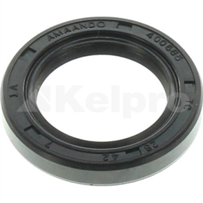 Oil Seal