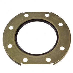 Oil Seal