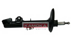 Shock Absorber Front Left 333918