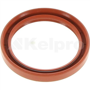 Oil Seal