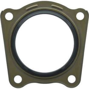 Oil Seal