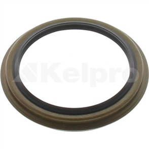 Oil Seal