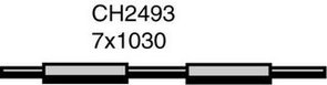 SURGE TANK HOSE