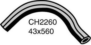 RADIATOR HOSE LOWER CH2260