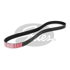 GATES FAN BELT - RIBBED K060405 6PK1030