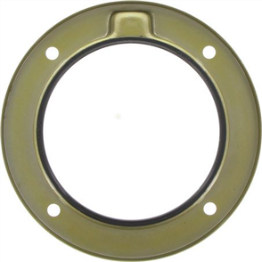 Oil Seal