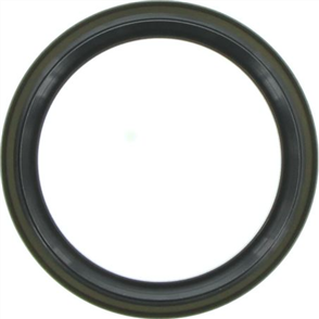 Oil Seal