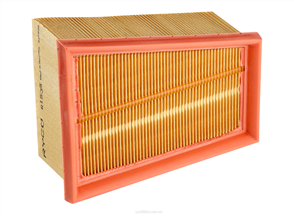 RYCO AIR FILTER - CITROEN/RENAULT A1535